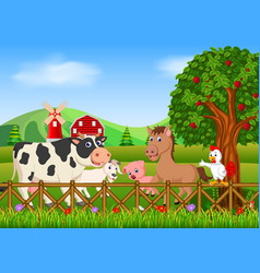 Collection animal in the farm Royalty Free Vector Image