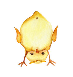 Watercolor Of A Little Cute Yellow Chicken