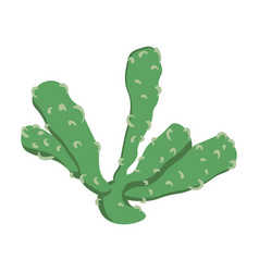 Cactus Is A Delicate Green Flat Shape