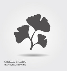 Cartoon Flat Ginkgo Biloba Leaves Isolated