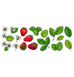 Strawberry Sticker Berry Leaf Flower Patch Pin Tag