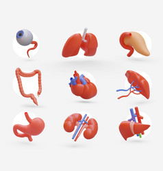 Large Collection Of Realistic Human Organs Icons