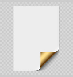 White Realistic Paper Page Mockup With Golden