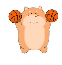 Fat Cat Jumped Into The Air With Two Basketballs