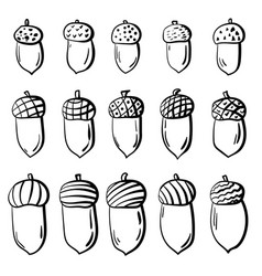 Doodle Set Of Acorns Outline Oak Fruit With