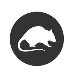 Rat Vector Images (over 20,000)