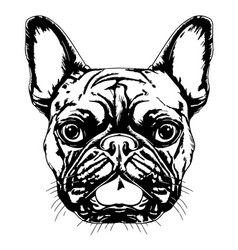 French Bulldog Dog Hand Drawn Sketch