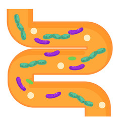 Human Intestine With Good And Bad Bacteria Showing