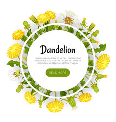 Dandelion Banner Design With Flowering Plant