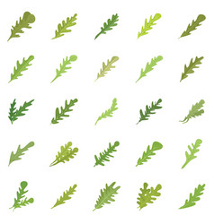 Arugula Icons Set Flat Leaf Salad