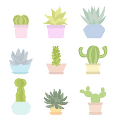 Collections Cute Cacti And Succulents In Pots