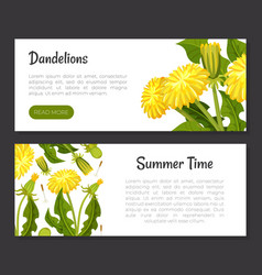 Dandelion Banner Design With Flowering Plant