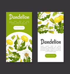 Dandelion Banner Design With Flowering Plant