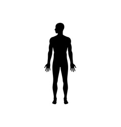 Human Body Silhouette Art