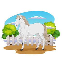 White Horse In Nature Outdoor