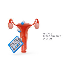 3d Female Reproductive System Pills Questionnaire