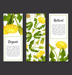 Dandelion Banner Design With Flowering Plant