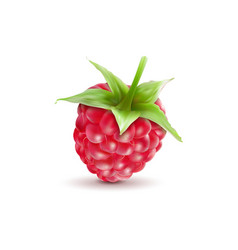 Ripe Raspberries Isolated On White Background