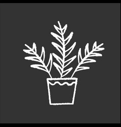 Parlor Palm Chalk White Icon On Black Background