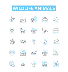 Wildlife Animals Line Icons Set Animals