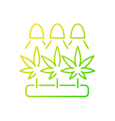 Cannabis Cultivation Gradient Linear Icon