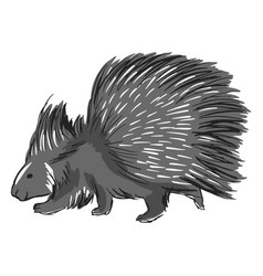 Cute Porcupine Animal Color Stroke