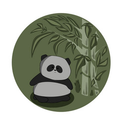 Cute Chubby Panda Got Lost In Bamboo