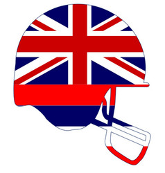 Hawaii State Flag Football Helmet