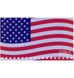 United States Flag Waving Icon