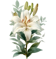 A Style Digital Art Print Of A Lily White