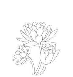 Lotus Flower Coloring Page For Kids