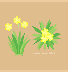 Yellow Daffodil Flower Element