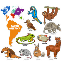 Educational Cartoon South American Animals Set