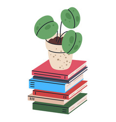 Pot Plant On Book Stack Home Potted