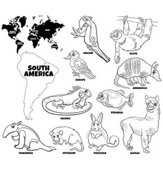 Cartoon South American Animals Set Coloring Book