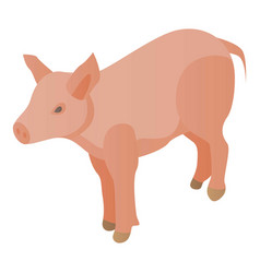 Farm Pig Icon Isometric Style