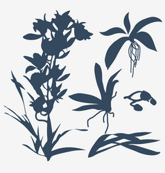 Silhouettes Of Plants Isolated On A White