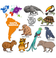 Educational Cartoon South American Animals Set