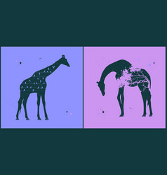 Giraffe Silhouette Night Starry Sky Texture