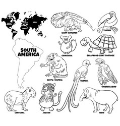 Cartoon South American Animals Set Coloring Book