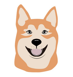 Muzzle Dog Breed Akita Inu Full Face Looking