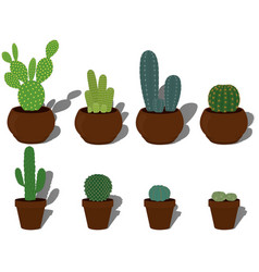 Cactus Types Collection In Terracotta Plant Pots