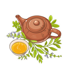 Sage Tea On White Background