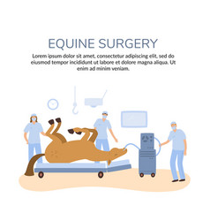 A Banner Of Horse Colics Surgery