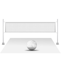 Realistic Volleyball Net With Ball White