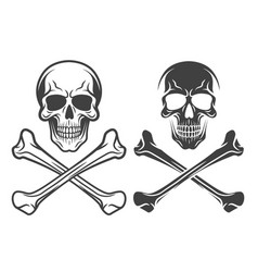 Black And White Skull And Crossbones Icon