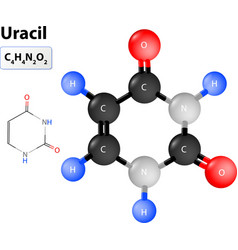 Uracil Molecule