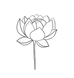 Lotus Flower Open On A Stem Icon