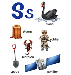 Things That Start With The Letter S