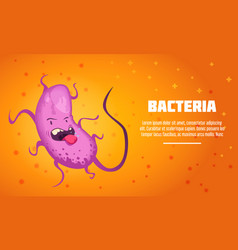 Bacteria And Virus Poster